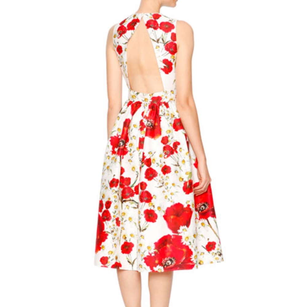 Dolce & Gabbana Poppy and Daisy Dress